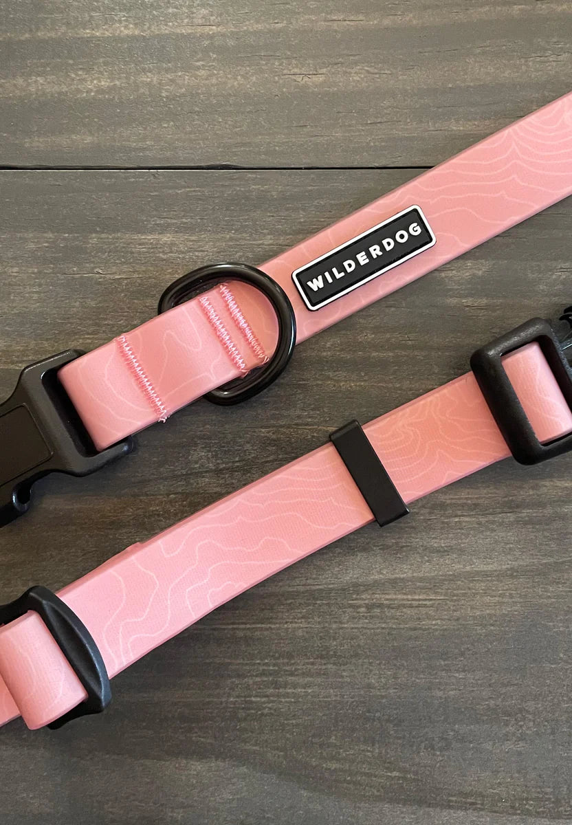 Wilderdog Waterproof Collar Guava