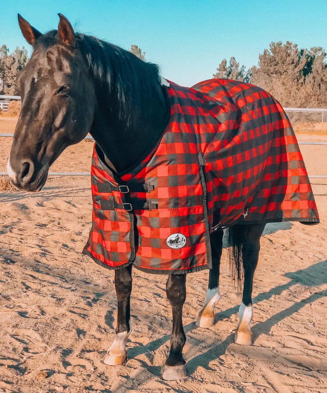 Jeffers Expressions 600D  T/O Blanket- 72" Buffalo Check