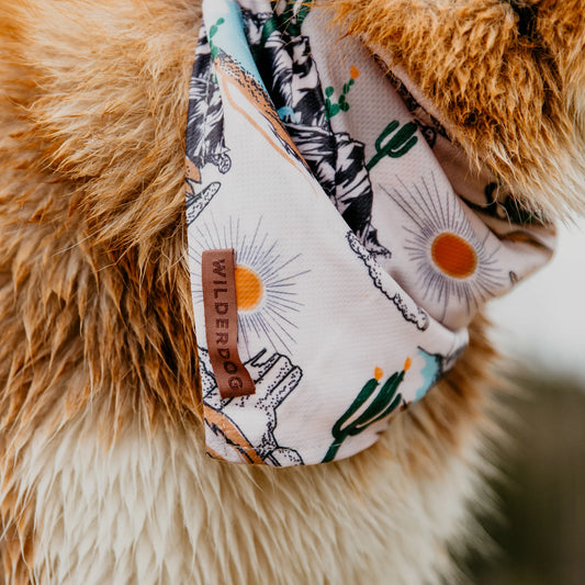 Wilderdog Laredo Bandana