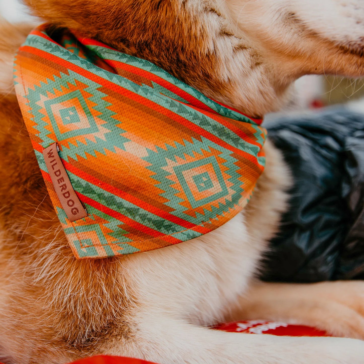 Wilderdog Sonora Bandana