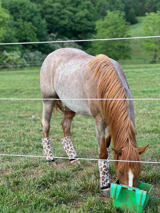 Fly Free Fly Boots