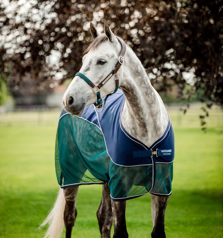 Horseware Signature Sport Cooler