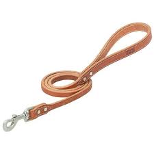 Terrain Dog Hybrid Leather Leash 4'