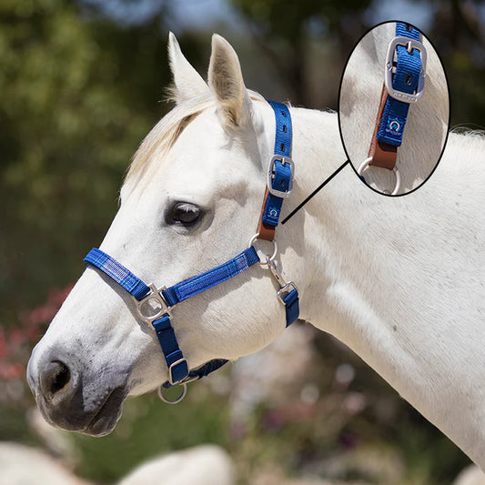 Kensington Breakaway Halter- Kentucky Blue