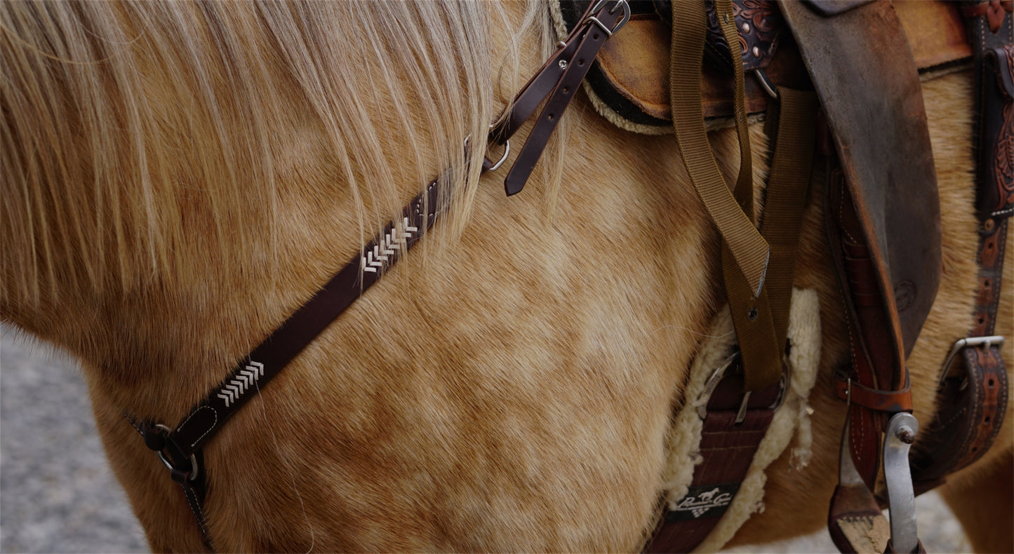 Oxbow Sonoma Breast Collar with Rawhide Weaving