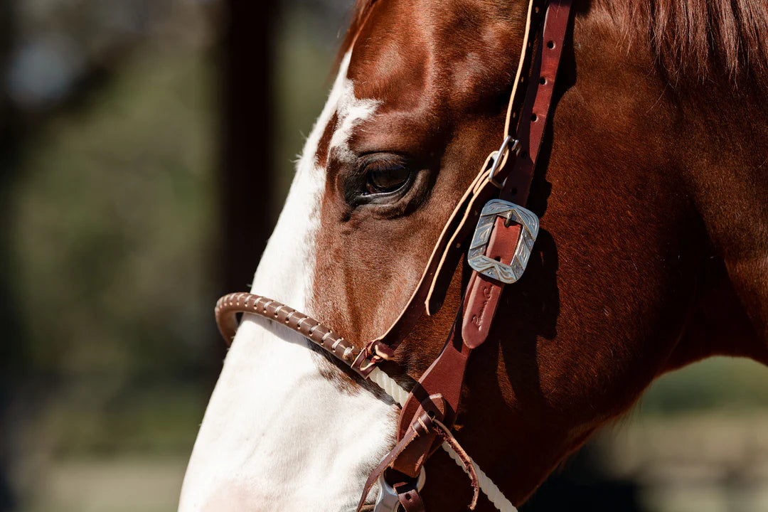 Professional's Choice Jr. Horse Loping Hack