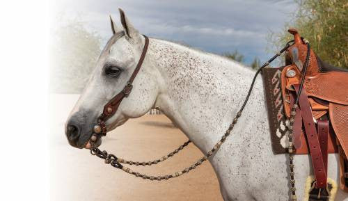 Professional's Choice Romal Rawhide Reins