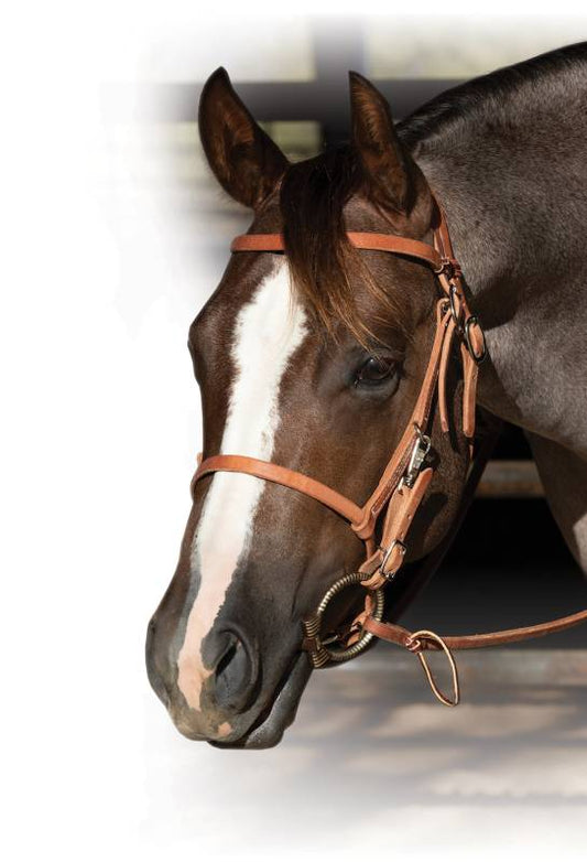 Professional's Choice Trail Bridle