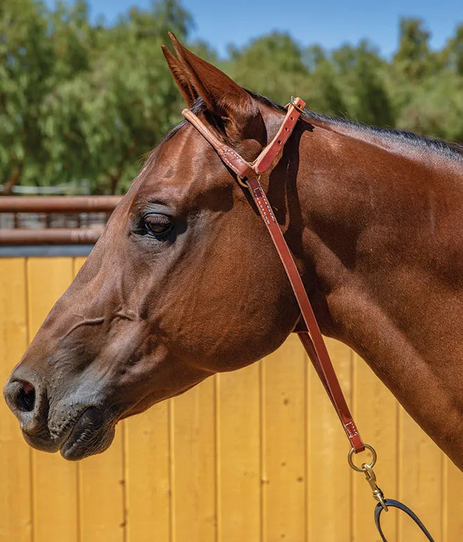 Professional's Choice War Bonnet Harness Leather