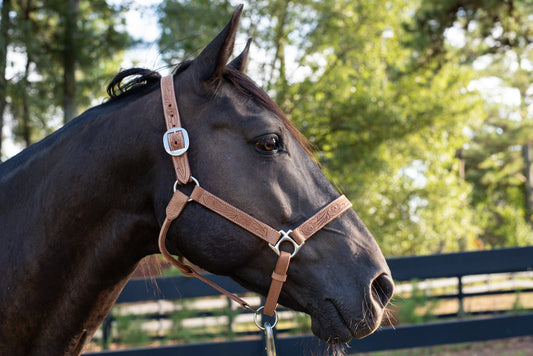 Professional's Choice Halter Floral Rough Out