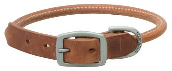 Terrain Dog Rolled Leather Collar