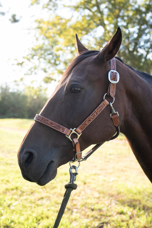 Professional's Choice Apple Blossom Leather Halter