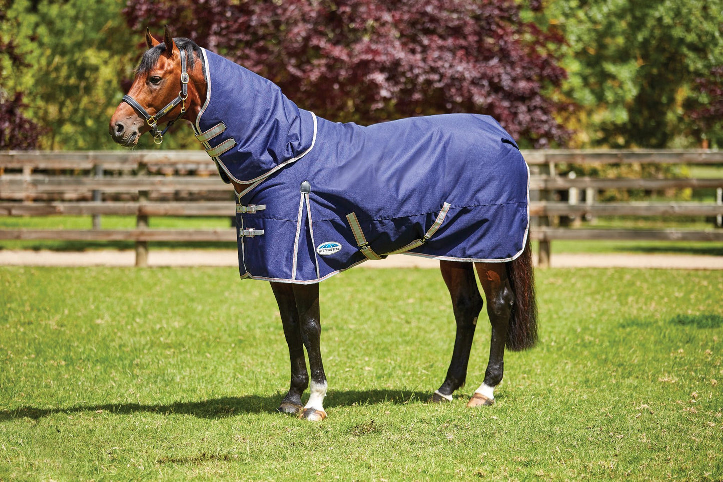 Weatherbeeta ComFITec Essential Heavy Turnout Blanket- Navy