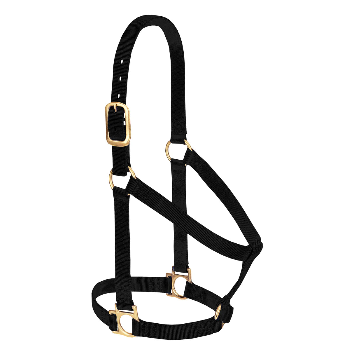 Weaver Nylon Basic Non-Adjustable 1" Halter