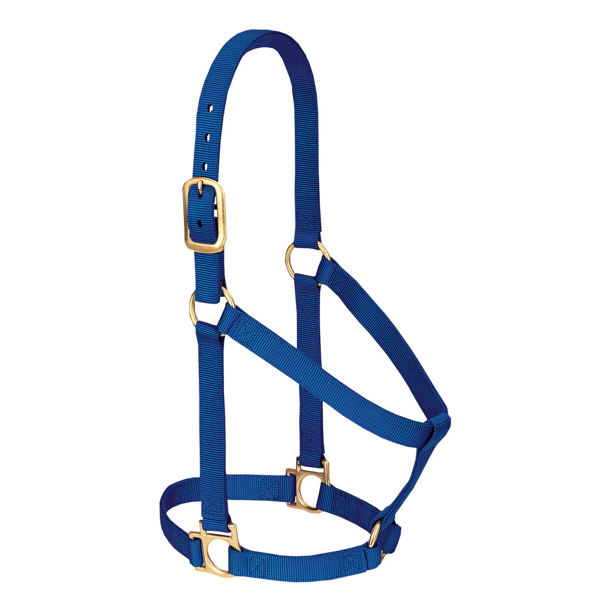 Weaver Nylon Basic Non-Adjustable 1" Halter