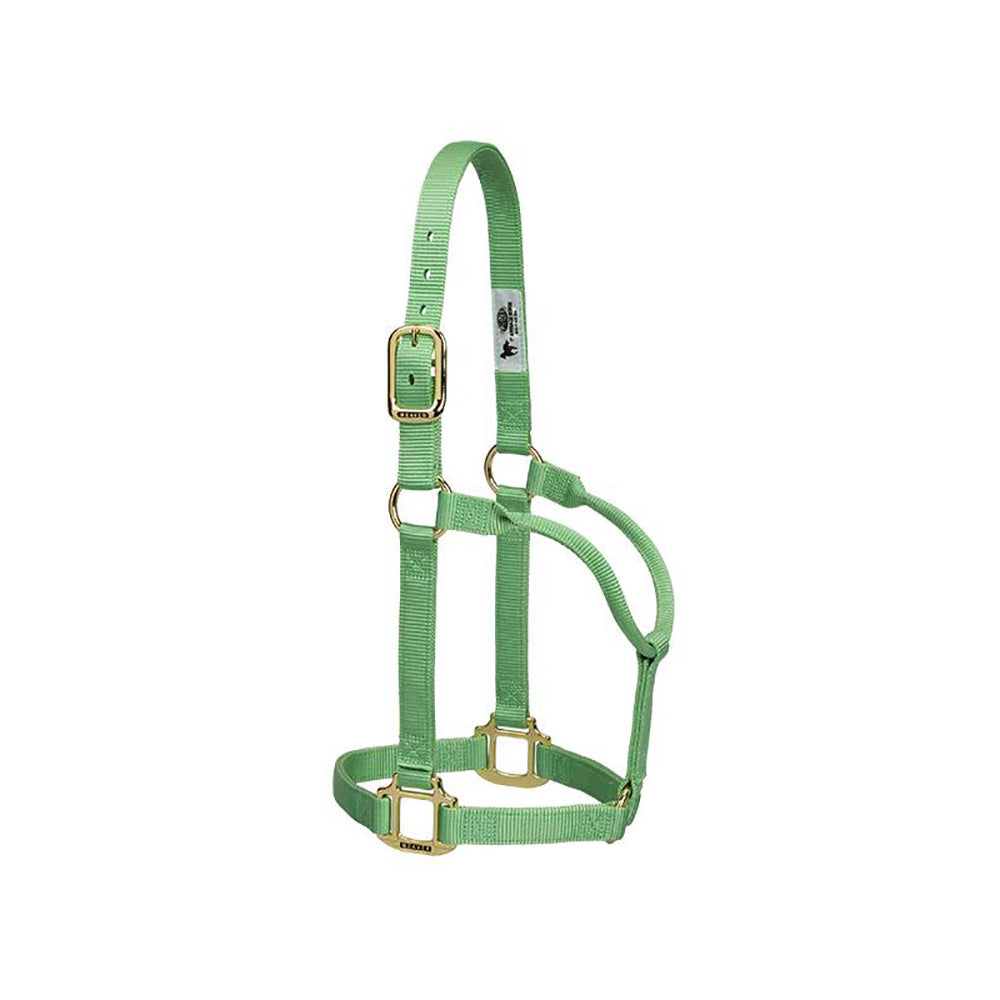 Weaver Nylon Basic Non-Adjustable 1" Halter