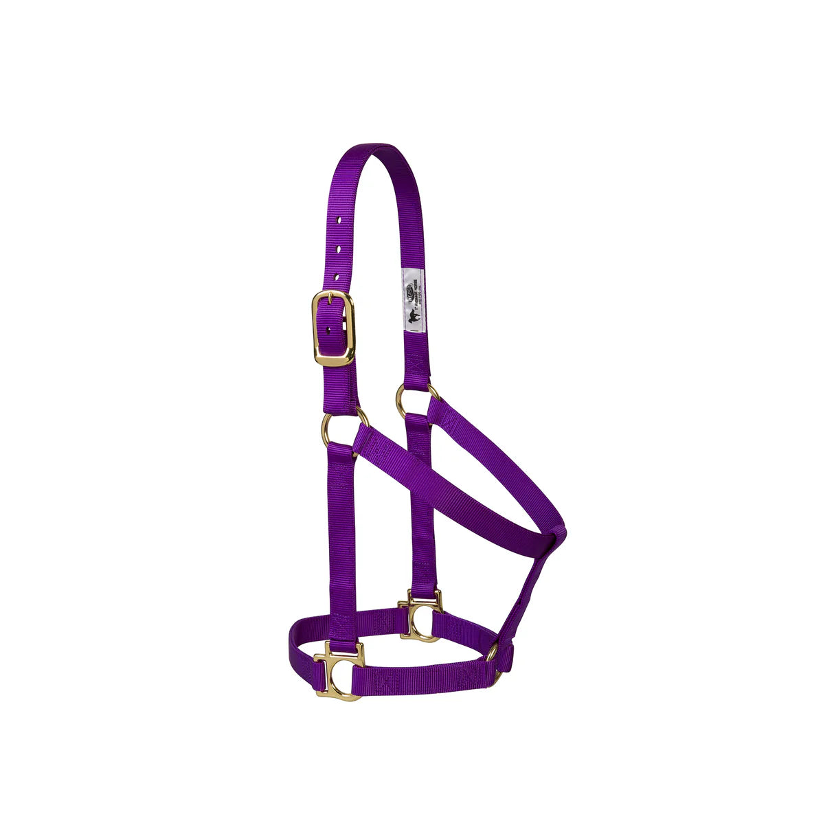 Weaver Nylon Basic Non-Adjustable 1" Halter