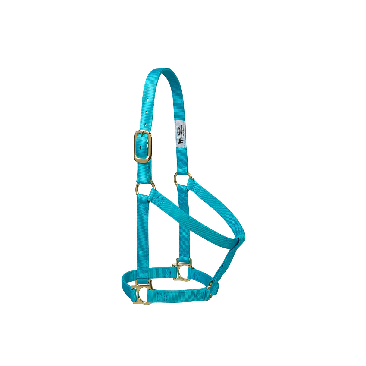 Weaver Nylon Basic Non-Adjustable 1" Halter