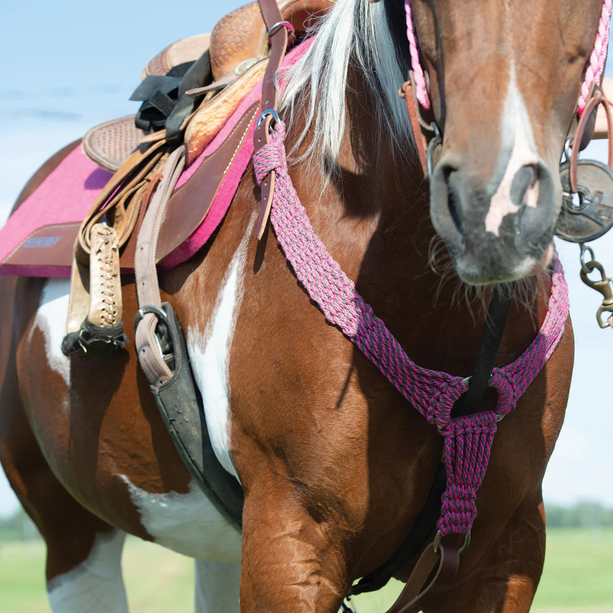 Weaver Ecoluxe Pulling Breast Collar