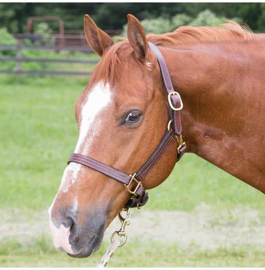 Weaver Track Halter Mahogany