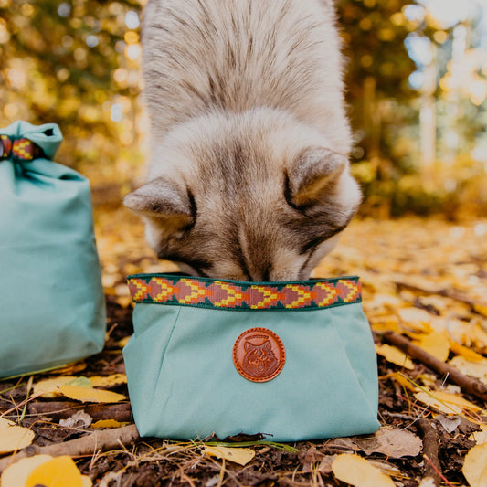 Wilderdog Backpacking Bowl